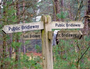 Bridleway sign post