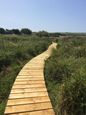 Boardwalk with timber decking and recycled plastic base to prevent rotting posts